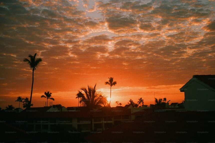 aesthetic