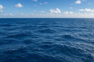 тихий океан