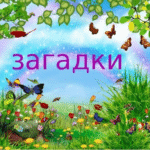 загадка